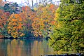 Parc de la Tête d'Or, Lyon (13 novembre 2014)