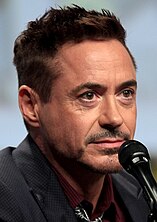 A photograph of Robert Downey Jr.