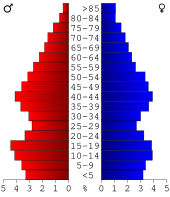 Bevolkingspiramide Hillsdale County