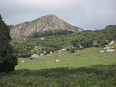 Gorongosa National Park