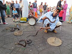 La plaza de Yamaa el Fna de Marrakech sigue ofreciendo en la actualidad entretenimientos típicos de las ciudades musulmanas medievales, como los encantadores de serpientes.