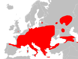 Distribución de Glis glis.