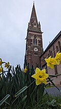 A red brick Victorian church with daffodils in the foreground