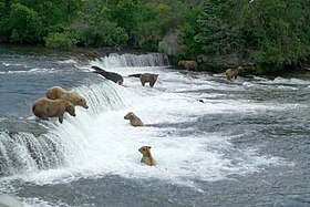 Borough de Bristol Bay