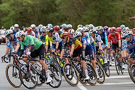 Le peloton avant Cambo-les-Bains.