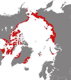 Distribución reprodutora de P. fulicarius