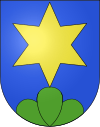 Wappen von Neuenegg