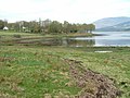 Shoreline on Loch Eil from Blaich.