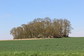 Le tumulus.