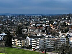 Uster (belváros) és Oberuster látképe Nossikon felől, a háttérben a Glatt-völgy (2010. március)