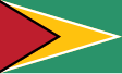 Guyana zászlaja