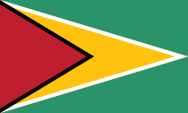 Vlag van Guyana