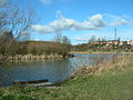 Fishing ponds in Kippax