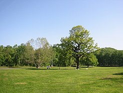 Makomanai-Park