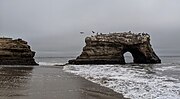 Thumbnail for Natural Bridges State Beach