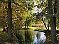 zabytkowy park miejski (Park Renardów)