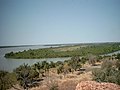 Tsibirin Bird, Gambiya