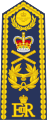 Marshal of the RAF shoulder board