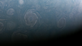 Image 2Several cyclones on the dynamic north pole of Jupiter, imaged by Juno (from Cyclone)