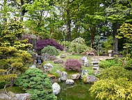 Japanese tea garden in San Francisco. Photo by Snty-tact.