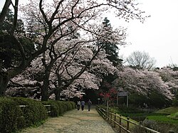 Shimizu Park in Noda