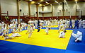 Image 48International judo camp in Artjärvi, Orimattila, Finland (from Judo)