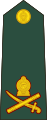 Lieutenant general[48] (Sri Lanka Army)