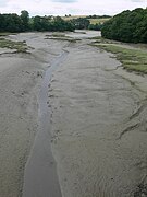 Profil transversal typique d'une vasière arrière littorale (ici sur le fleuve côtier dit la rivière de Penzé).