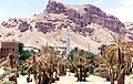 The city of Tarim