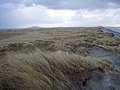 Landschap op het eiland