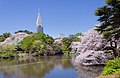 Shinjuku Gyoen lorategiak.