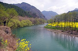 養家河と河畔の菜の花畑