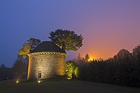 6. Platz: Stieleiche (Quercus robur „Bonzai“), Bégard, Frankreich