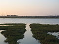 Bolsa Chica Wetland Reserves