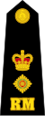 Lieutenant Colonel