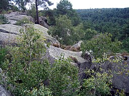 Gorges de Franchard.