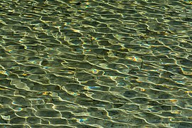 Reflexion à la surface du lac Stappitz dans le Hohe Tauern, Autriche.