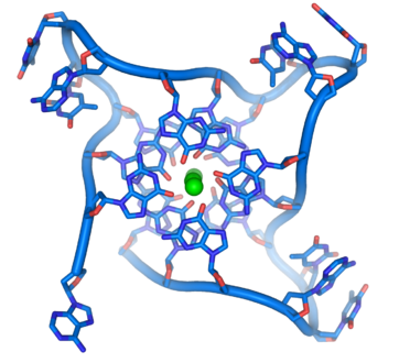 G-quadruplex télomérique humain