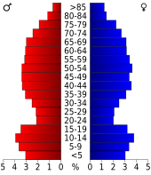 Bevolkingspiramide Gila County