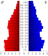 Bevolkingspiramide Jefferson Davis County