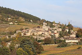 La Roche-Vineuse