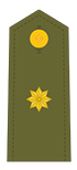 Insignias de comandante del Ejército de Tierra.