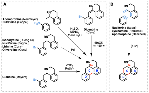 Aporphine_Synthetic_Routes