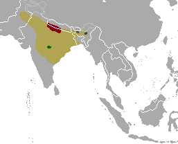 Barasingan levinneisyys punaisella