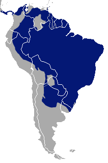 Distribución