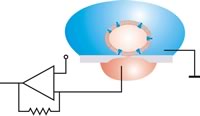 In planar patch configuration, the cell is positioned by suction. Relative movements between cell and aperture can then be excluded after sealing. An antivibration table is not necessary.