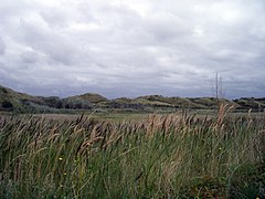 Dünen am Südstrand