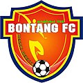 Vereinslogo von Bontang FC