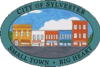 Official seal of Sylvester, Georgia