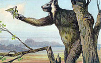 Inaccurate 1902 life restoration of M. madagascariensis